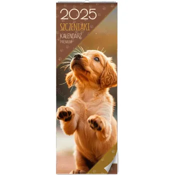 Obraz Nástěnný KALENDÁŘ PREMIUM na rok 2025 - ŠTĚŇATA