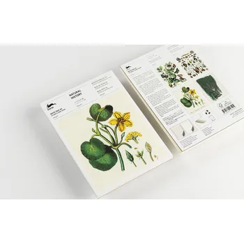 Barevný papír The Pepin Press blok dopisních papírů, Natural History, A5