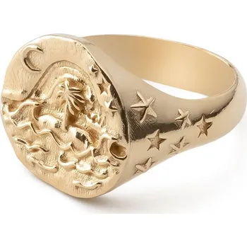 Prsten Prstýnek Zlatý pečetní prsten moře, stříbro 925 Dárek GIORRE