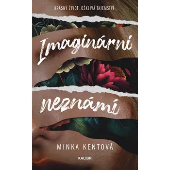 Kniha Imaginární neznámí