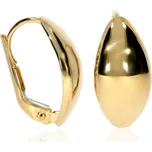 Zlatnictví Helios Zlaté lesklé náušnice na patent