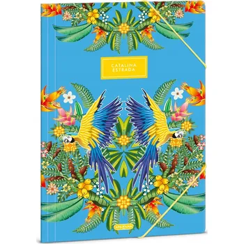 desky na sešit Desky s gumou A4 ARS UNA