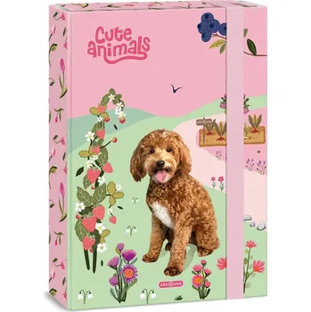 desky na sešit Vázací aktovka A4 ARS UNA