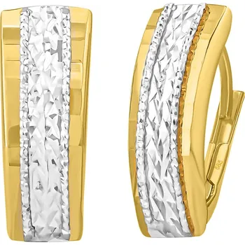 Náušnice Zlaté náušnice Merope ze žlutého a bílého zlata FNN31582EGYW