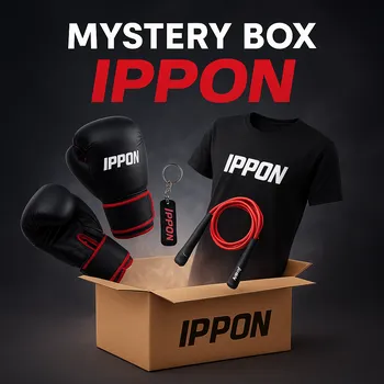 Úložný box Ippon MYSTERY BOX Velikost: M