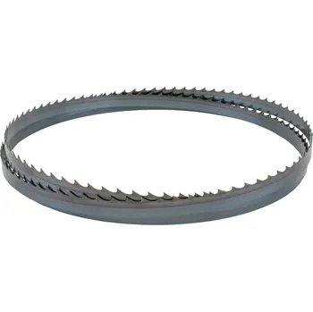 Příslušenství k pile IGM Carbon FORCE HOOK Pilový pás 3860mm - 19 x 0,8mm 2TPi