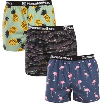 Pánské oblečení 3PACK pánské trenky Horsefeathers Frazier Bundle 9 (AM096L) XXL Možnost vrácení zboží ZDARMA do 120 dnů!