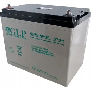Záložní baterie Akumulátor GLP 12V 65Ah