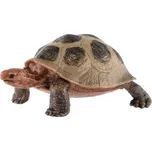 ZOOted 00861537 želva obrovská 8 cm