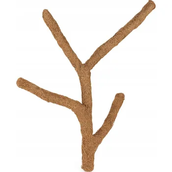 Obraz Kokosová větev Troncho L - 80 cm