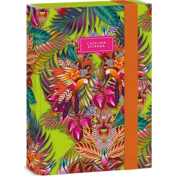 desky na sešit Desky s gumou A5 ARS UNA