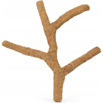 Obraz Kokosová větev Happet Troncho M 60 cm