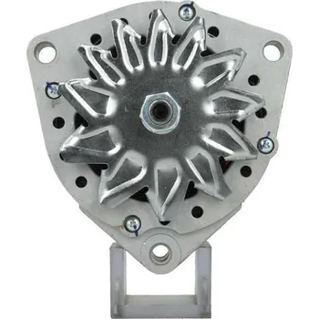 Alternátor Alternátor BV PSH 556.017.080.010
