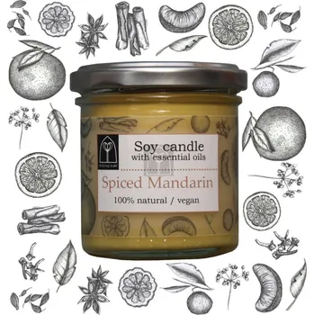 Svíčka Vonná sojová svíčka Spiced Mandarin - 120g