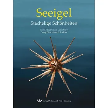 Seeigel - Stachelige Schönheiten - Thiel, Hans A.