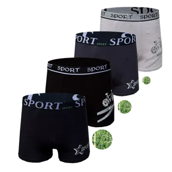 Boxerky Fannifen Pánské bambusové boxerky Kaile (4 ks v balení) Barva: Mix barva, Velikost: 3XL