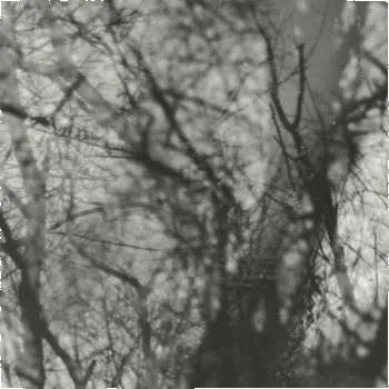 Zahraniční hudba CD Grouper: Way Their Crept 2025