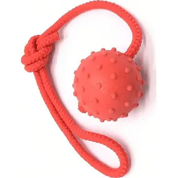 tréninková pomůcka pro psa Míček na šňůrce průměr 5 cm Barva: červená