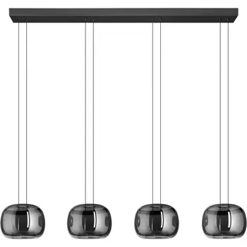 Eglo 390433 HORTUNAS - Závěsné LED čtyřramenné svítidlo, LED 23,2W, 3000K, 126cm (Závěsný LED lustr nejen nad jídelní stůl v černé barvě s kouřovými stínidly)