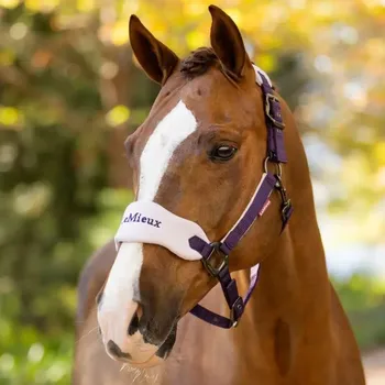 Set ohlávky a vodítka LeMieux Vogue zima 2025 Juniper Full