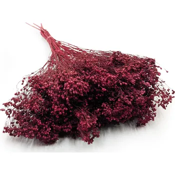 mech-mech.cz Sušený Broom Bloom - Bordó