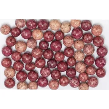 Sušené ovoce Černý rybíz v jogurtu 4 kg LES FRUITS DU PARADIS