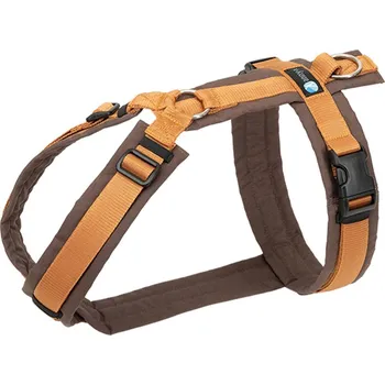 Postroj pro psa annyx popruh na hrudník Fun hnědý/ jantarový XXS