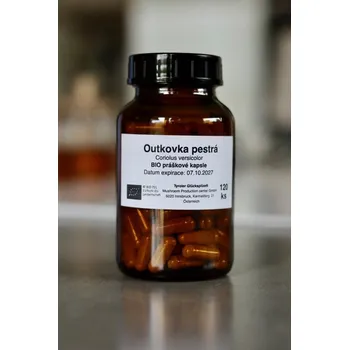 Přírodní produkt Tyroler Glückspilze® Outkovka pestrá - coriolus versicolor 120 kapslí