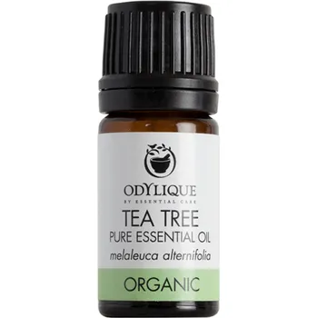 Odylique Multifunkční esenciální olej - Tea Tree 10ml