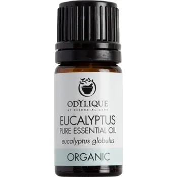 Odylique Esenciální olej při rýmě, alergiích, horečce - Eukalypt 10ml