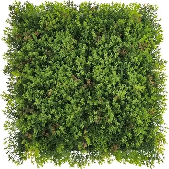 umělý živý plot MINI WALL GREEN Sedum, dílec 50 x 50 cm (Realistická "živá" stěna)
