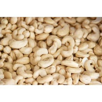 Kešu Natural W320 22.68 kg LES FRUITS DU PARADIS