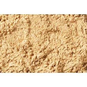 Sušené ovoce Maca černá prášek BIO 20 kg LES FRUITS DU PARADIS