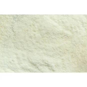 Sušené ovoce Sušené odstředěné mléko BIO 25 kg LES FRUITS DU PARADIS