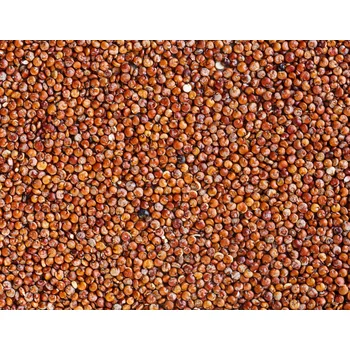 Luštěnina Quinoa červená BIO 25 kg LES FRUITS DU PARADIS