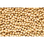 Sójové boby BIO 25 kg LES FRUITS DU PARADIS