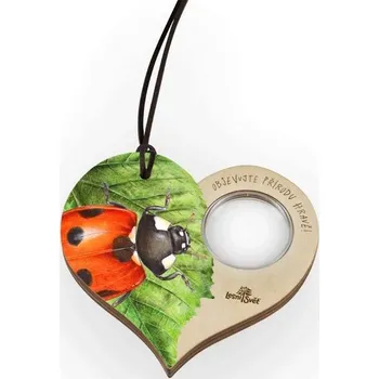 Lupa Lupa dřevěná Příroda