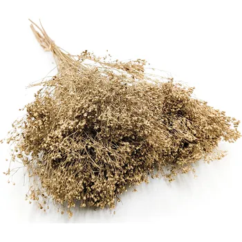 mech-mech.cz Sušený Broom Bloom - Zlaté