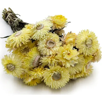 mech-mech.cz Sušená Slaměnka (Helichrysum) - citrónová