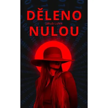 Kniha Děleno nulou Ekniha