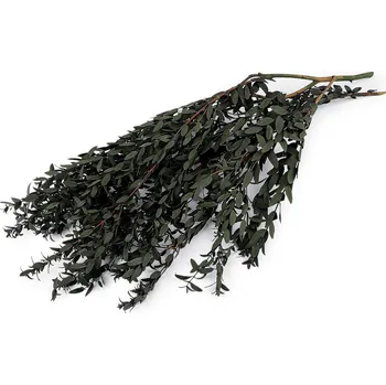 umělá květina Stabilizovaný olivovník svazek