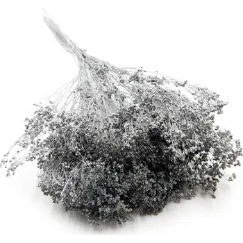 mech-mech.cz Sušený Broom Bloom - Stříbrný