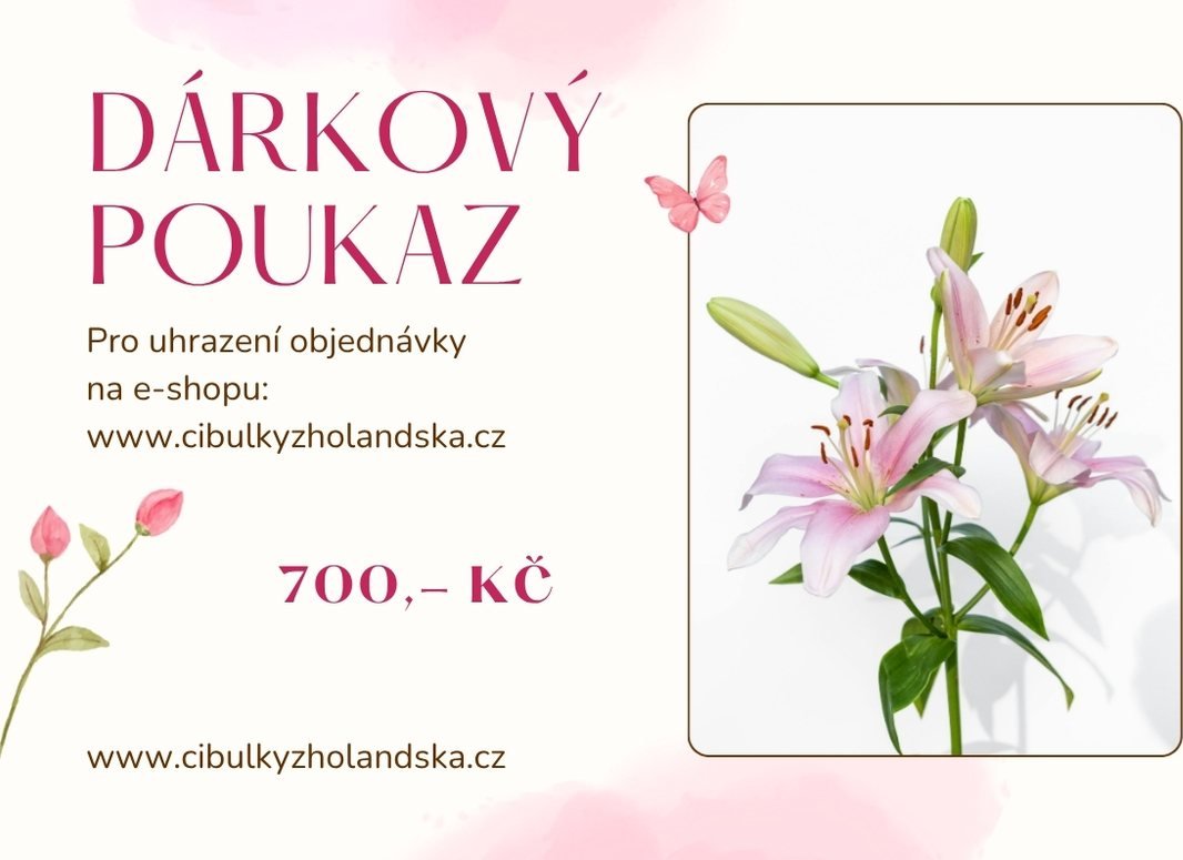Dárkový poukaz Hodnota poukazu: 1000,- Kč