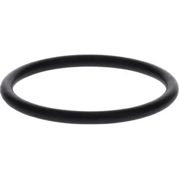 Těsnění motoru Pryžový kroužek BOSCH 1 420 210 046