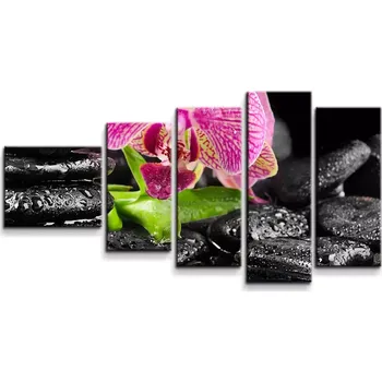 Obraz Sablio Obraz - 5-dílný Orchidej na kamenech - 100x60 cm