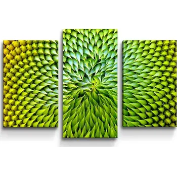 Obraz Sablio Obraz - 3-dílný Detailní květ - 75x50 cm