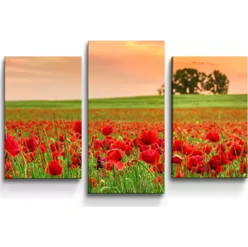 Obraz Sablio Obraz - 3-dílný Pole vlčích máků 2 - 75x50 cm