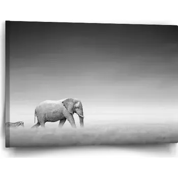 Obraz Sablio Obraz Slon a zebra - 60x40 cm