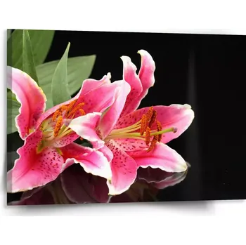 Obraz Sablio Obraz Lilie - 150x110 cm