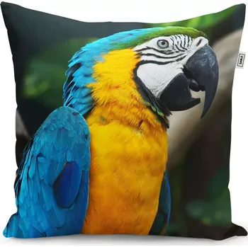 Polštář Sablio Polštář Ara - 50x50 cm